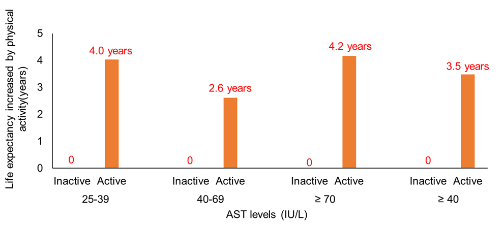 Физически активные люди, даже при АСТ > 40 ед/л живут на 2,5 — 4 года больше