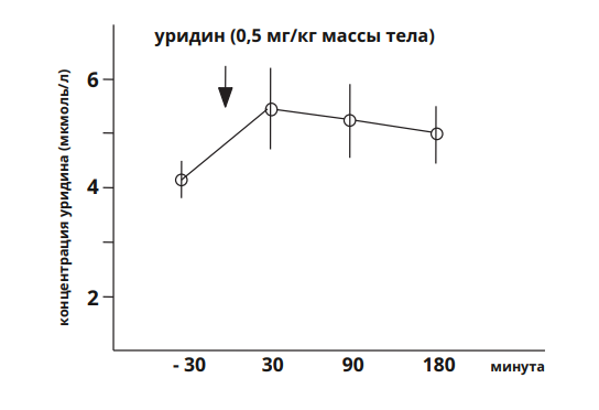 приём уридина (0,5 мг/кг массы тела) увеличивает концентрацию уридина в плазме в 1,2 раза